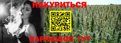 СК Краснознаменск