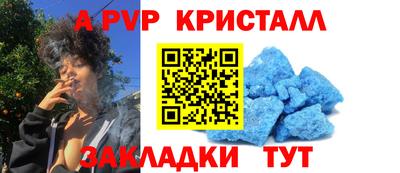 СК Краснознаменск